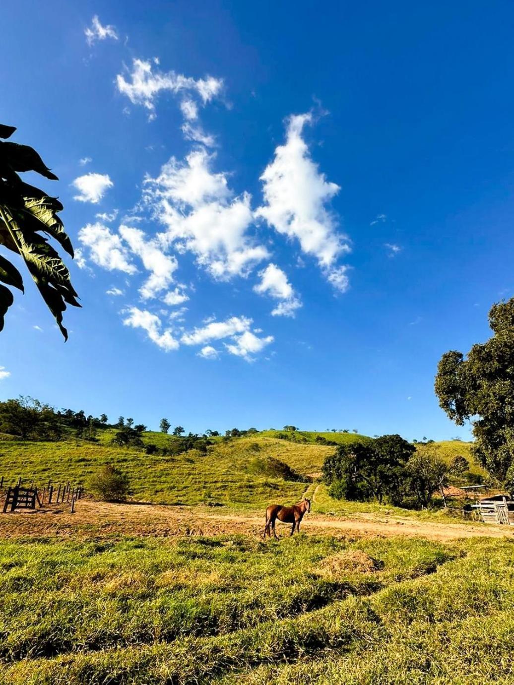 Fazenda Santa Thereza - Itapira Exterior foto